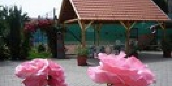 Abszolút Vendégház