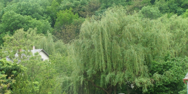 Kati  Családi Panzió