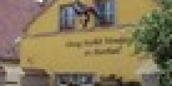 ÖREG SZŐLŐ WELLNESS VENDÉGHÁZ ÉS BORHÁZ