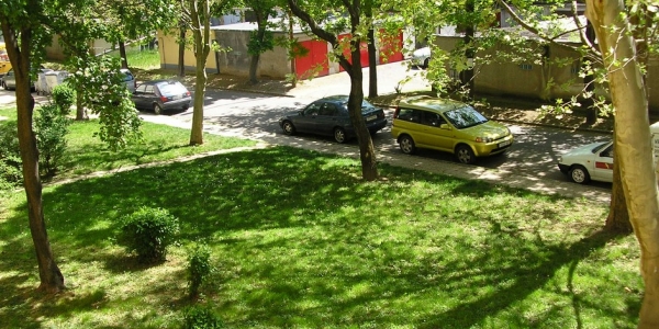 Páfrány Vendégszobák