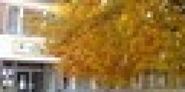 Soproni Gyermek és Ifjúsági Tábor