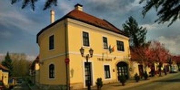 Toldi Fogadó*** Az 5 puttonyos Wellness-ház