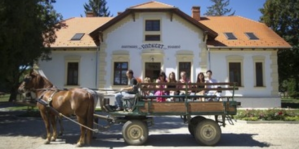 Vadkert Fogadó és Étterem